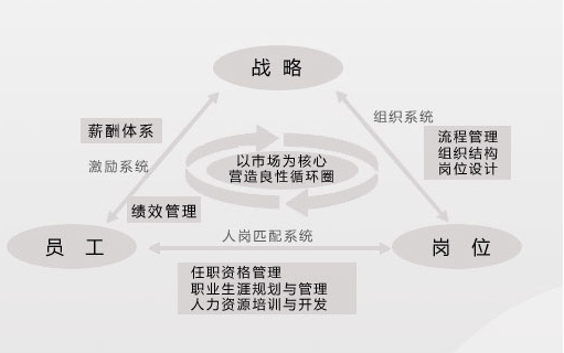 戰略HR管理模式