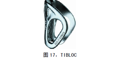 圖17，TIBLOC