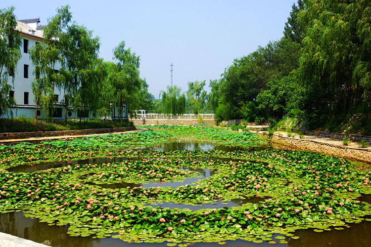 龍門生態園景區